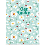 Quaderno a Righe A6 con Copertina Rigida Illustrata - Ladybug - Coccinella Legami
