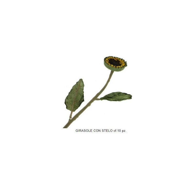 Renkalik - Botanica Primaverile Assortita