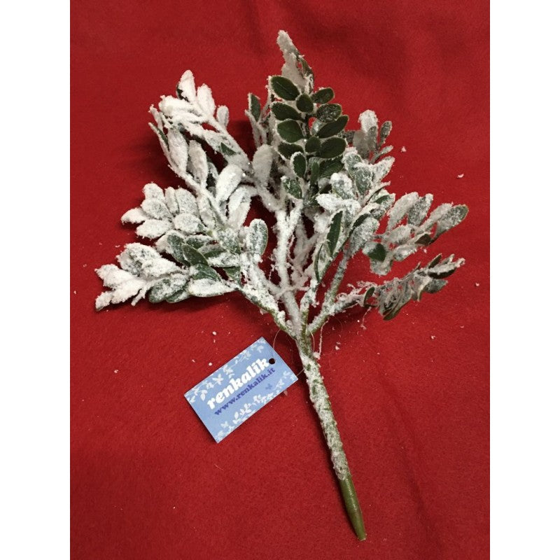 Renkalik - Ramo Di Bosso Innevato