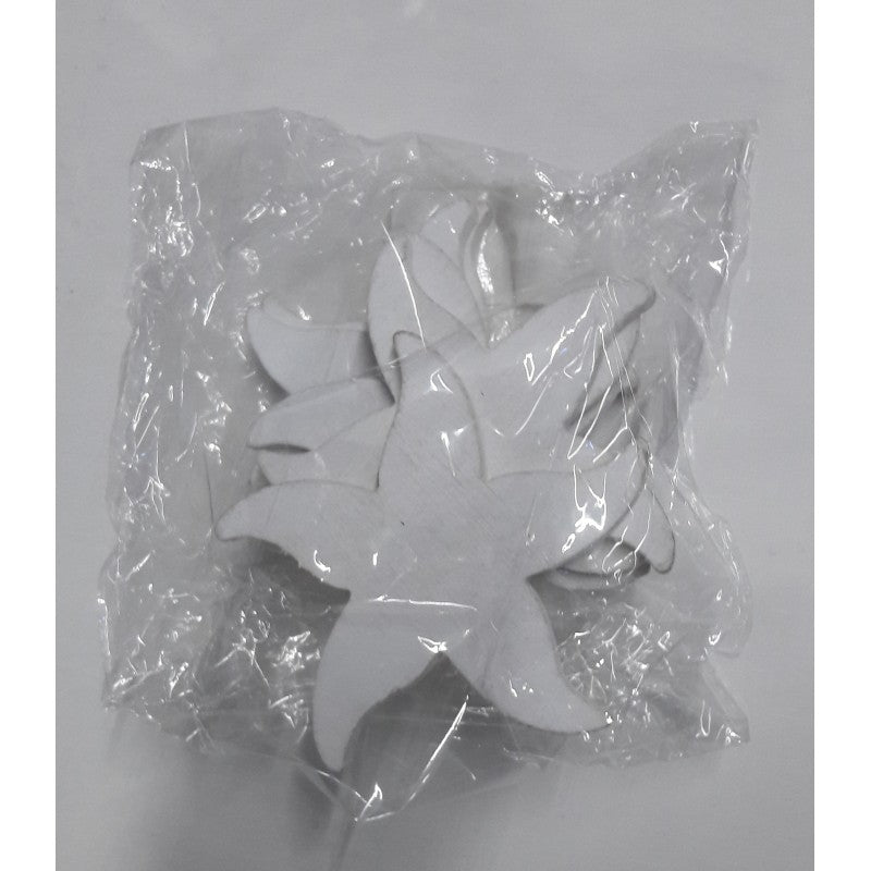 Sagome Stelle Marine – Confezione 6 Pezzi