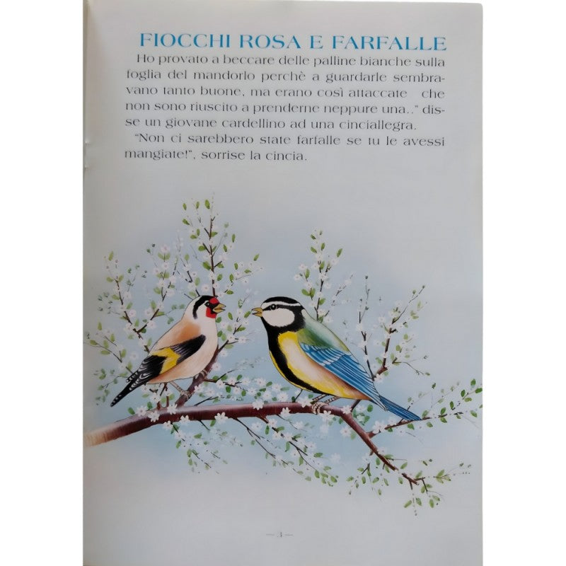 Set 2 Pezzi - Libricini Favole