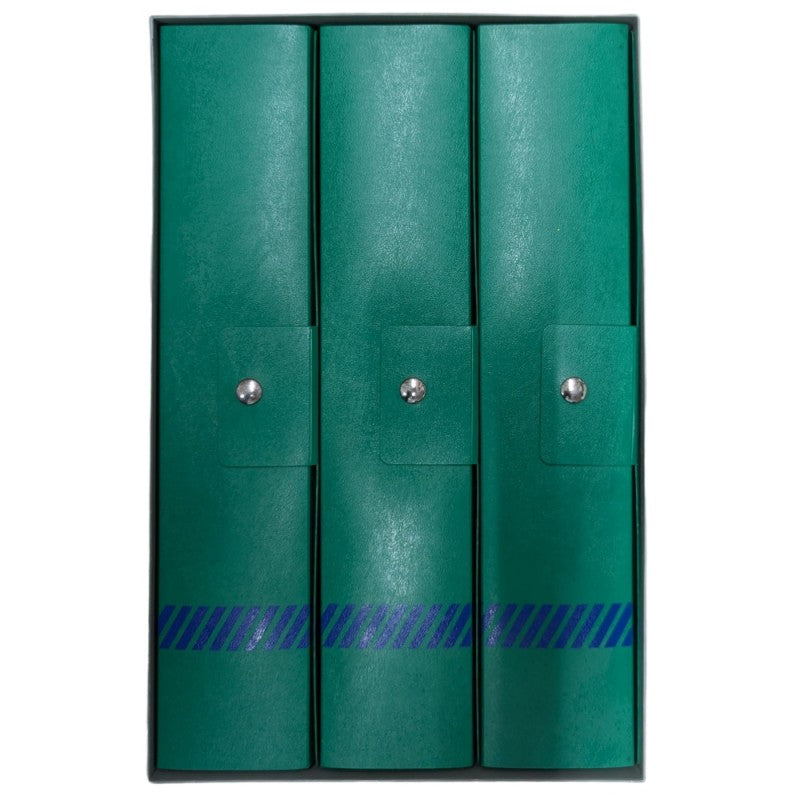 Set 3 Raccoglitori Flex Dorso 8 - Verde - 17913
