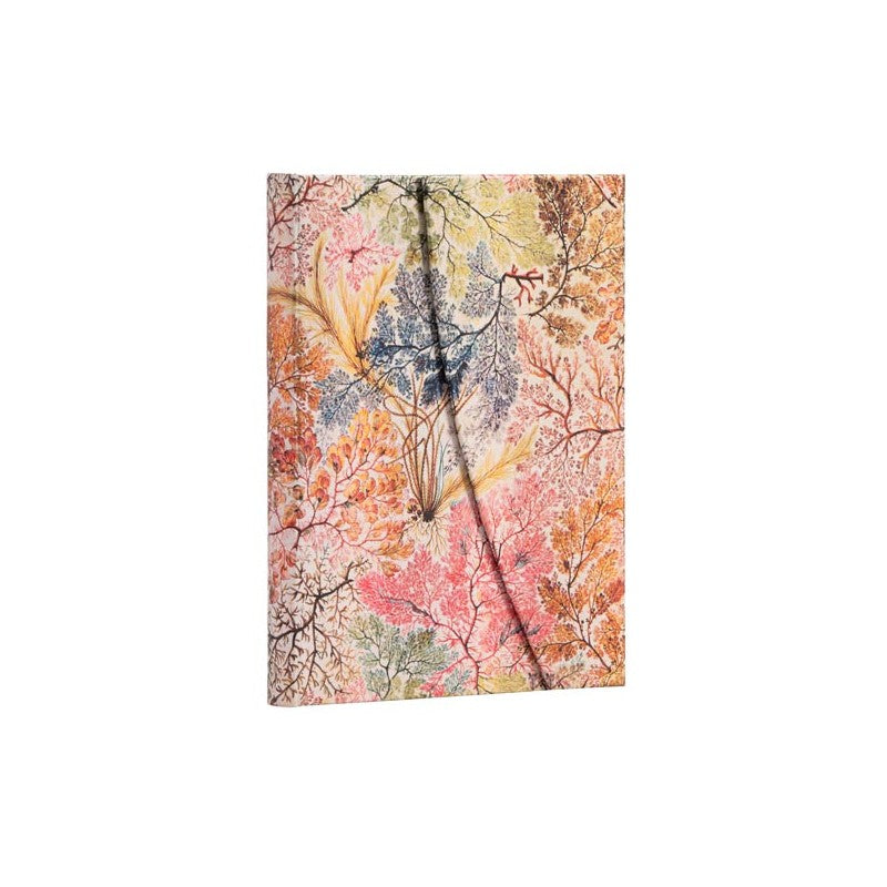 Taccuino A Righe Paperblanks – 2 Fantasie Assortite