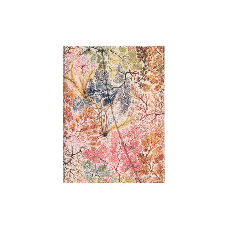 Taccuino A Righe Paperblanks – 2 Fantasie Assortite