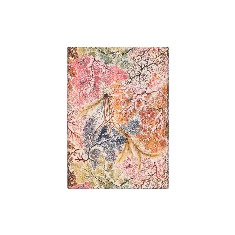 Taccuino A Righe Paperblanks – 2 Fantasie Assortite