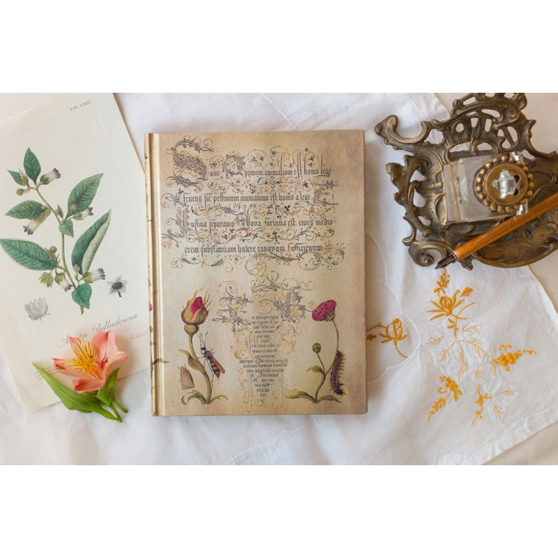 Taccuino Midi Fogli Bianchi Paperblanks Rosa Fiamminga Mira Botanica 144 Pagine 120 Gr