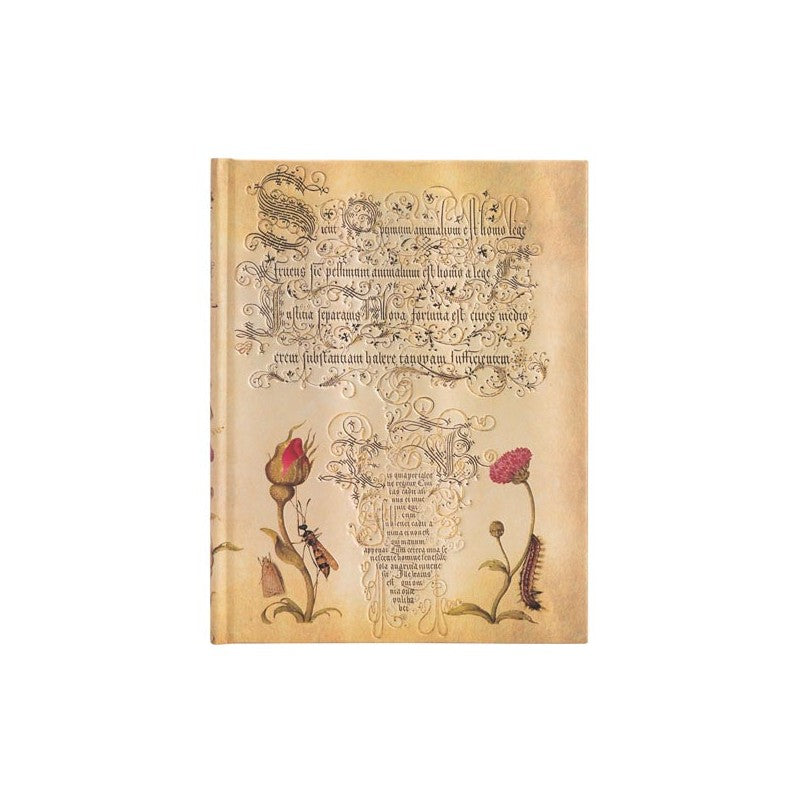 Taccuino Ultra A Righe Paperblanks Rosa Fiamminga 144 Pagine 120 Gr