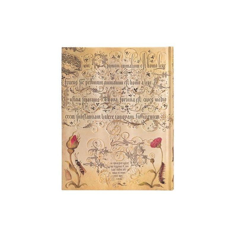 Taccuino Ultra Fogli Bianchi Paperblanks Rosa Fiamminga Mira Botanica 144 Pagine 120 Gr