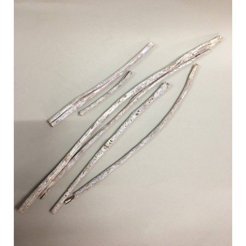 Tronchi Bianchi Decorativi