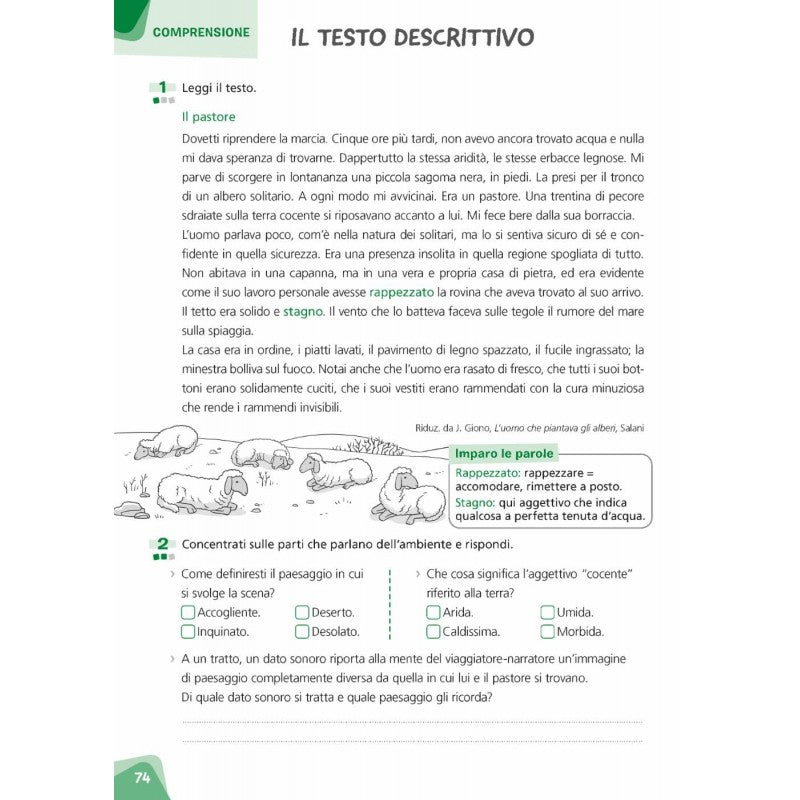 Tuttoesercizi Italiano. Per La Scuola Elementare (vol. 5)